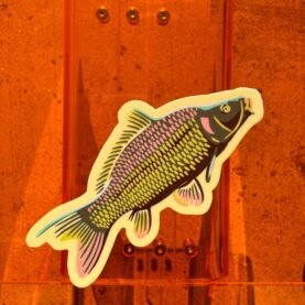 Carp Sticker