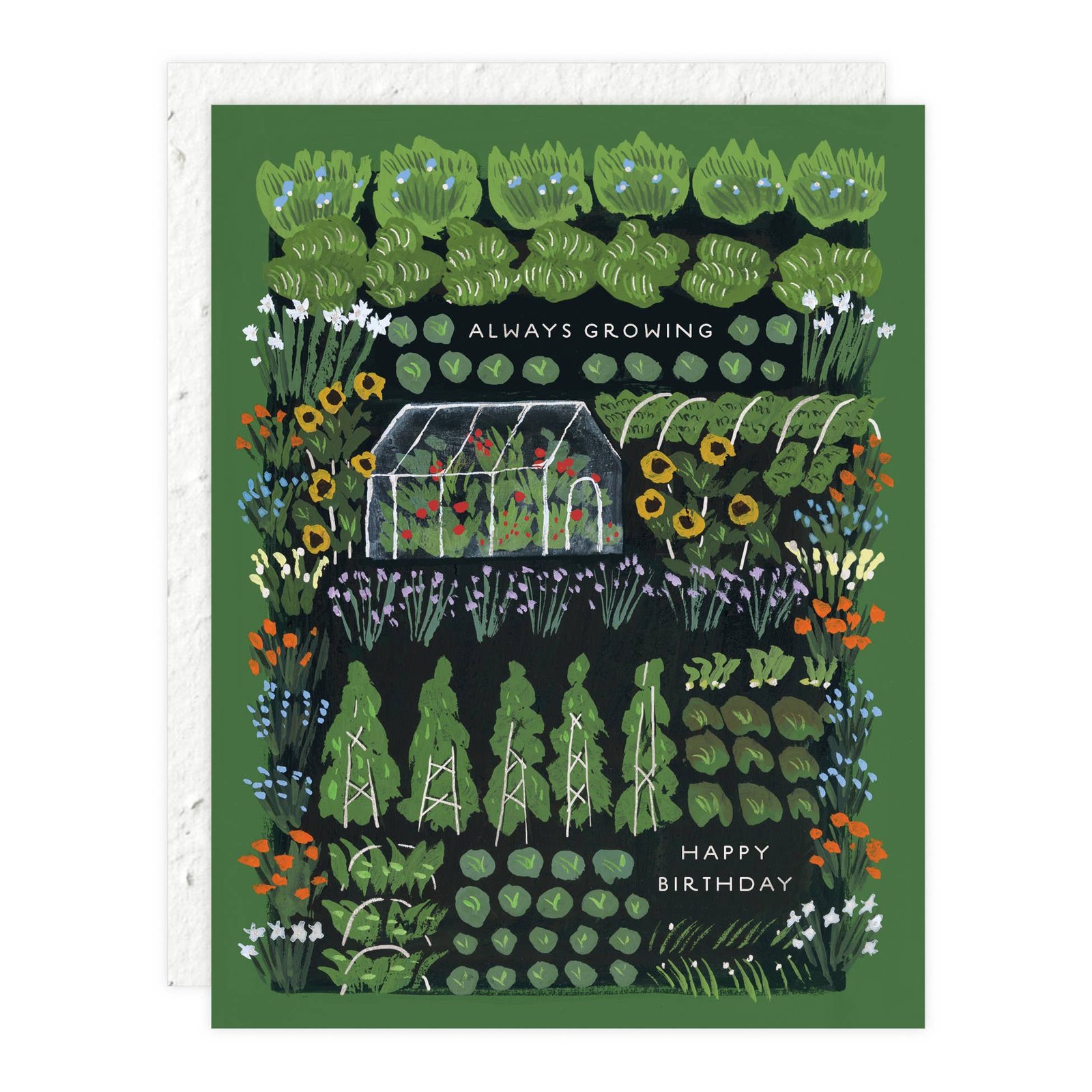 Garden Greenhouse - Birthday Card