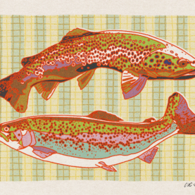 Striped Trout Art Print
