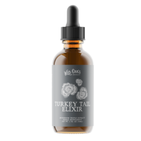 Turkey Tail Elixir