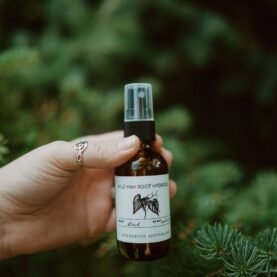 Wild Yam Hydrosol, 2oz