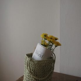 Apparel & Accessories