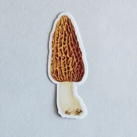Morel Mushroom Sticker