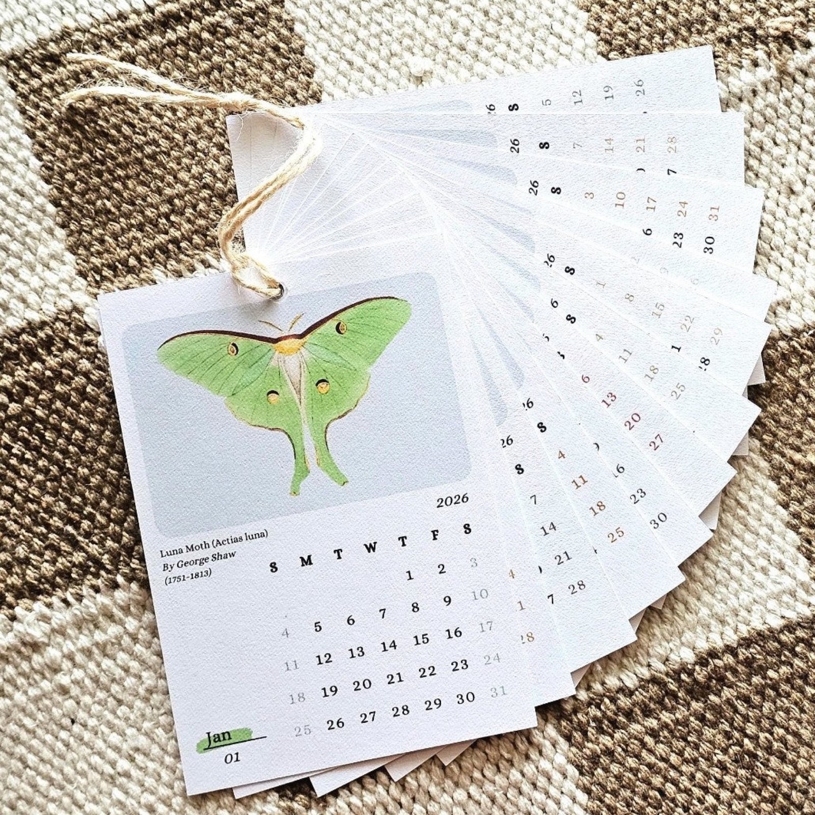 Moths & Butterflies 2026 Mini Hanging Wall Calendar | 12 Month Calendar