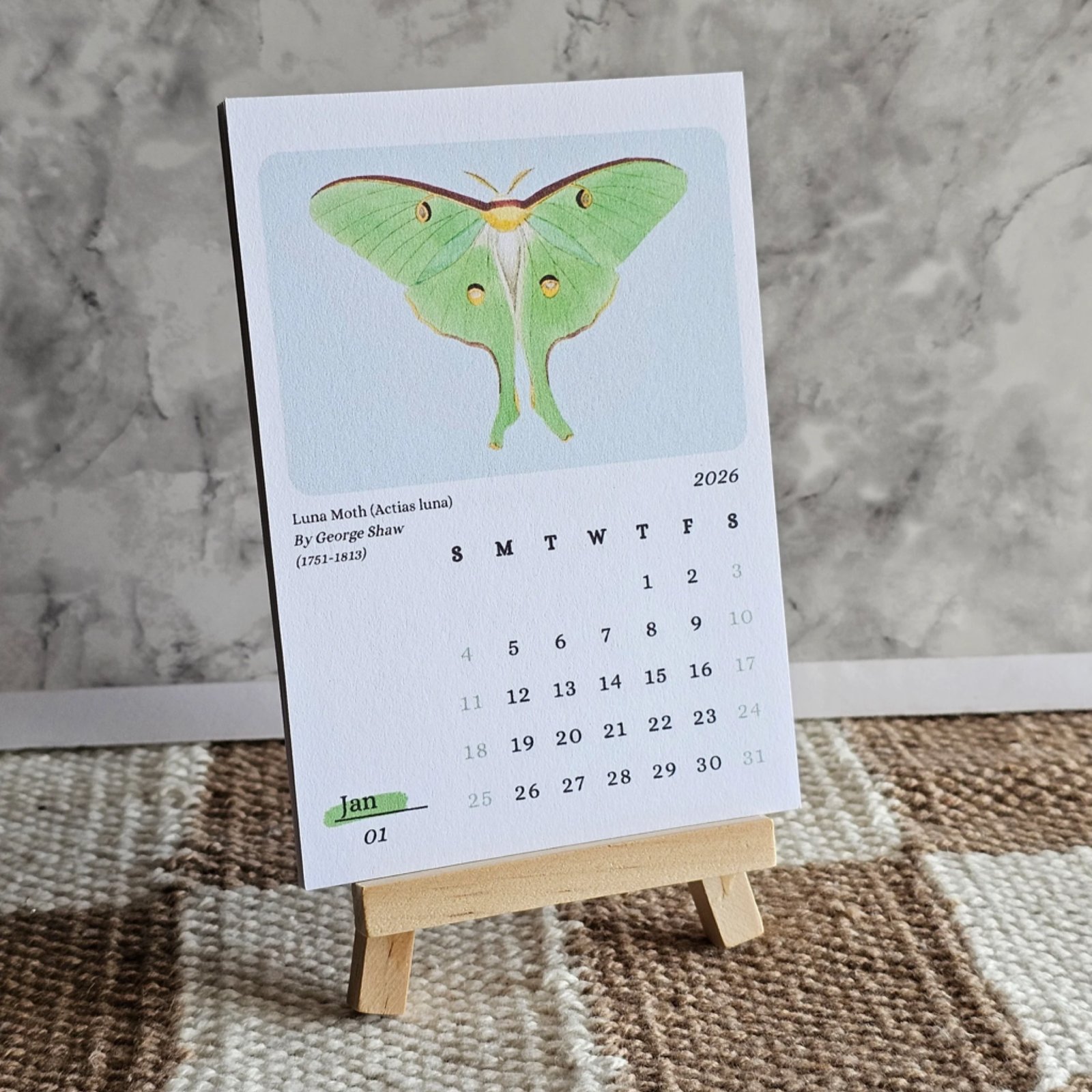 Moths & Butterflies 2026 Mini Desk Calendar & Display Easel | 12 Month Calendar