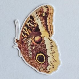 Yellow-Edged Giant Owl Butterfly Vinyl Sticker