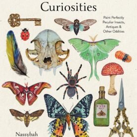 Watercolor Cabinet Of Curiosities