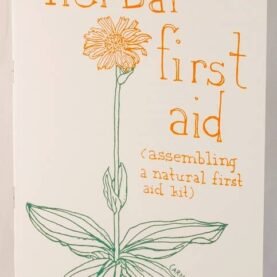 Herbal First Aid: Assembling a Natural First Aid Kit (Zine)