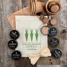 Salad Garden Seed Kit