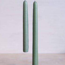 Tapered Candles - Succulent