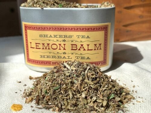 Lemon Balm Tea